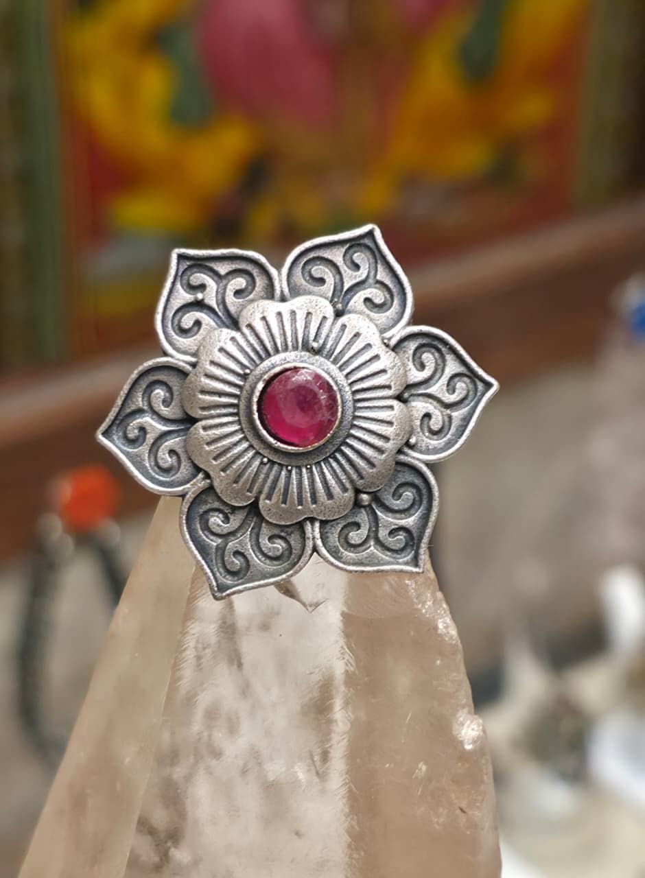 WhatsApp Image 2026-02-23 at 23.24.15