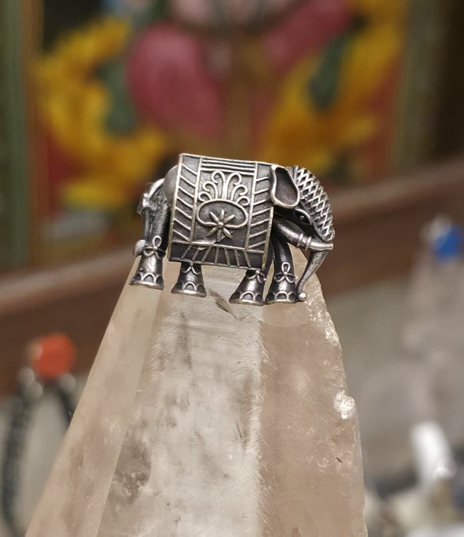 WhatsApp Image 2026-02-23 at 23.24.19(1)