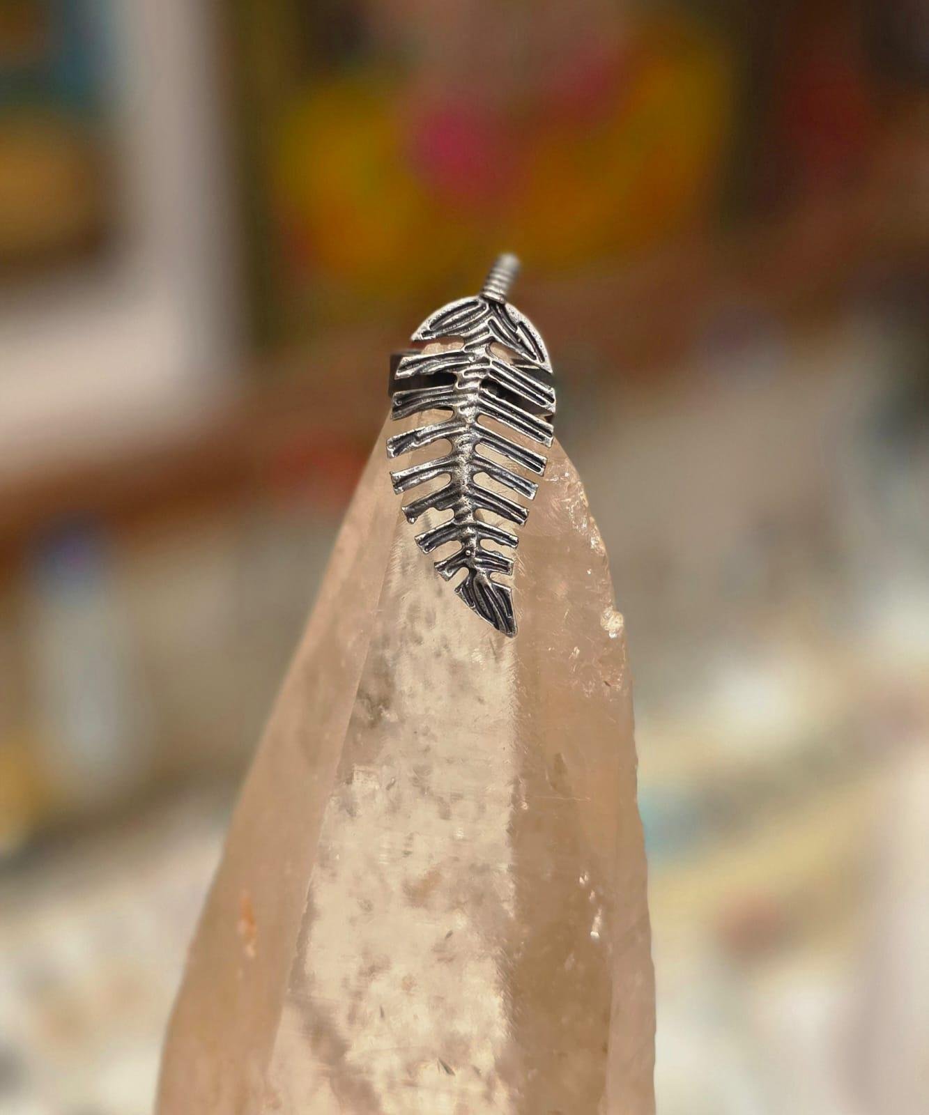 WhatsApp Image 2026-02-23 at 23.24.19(2)